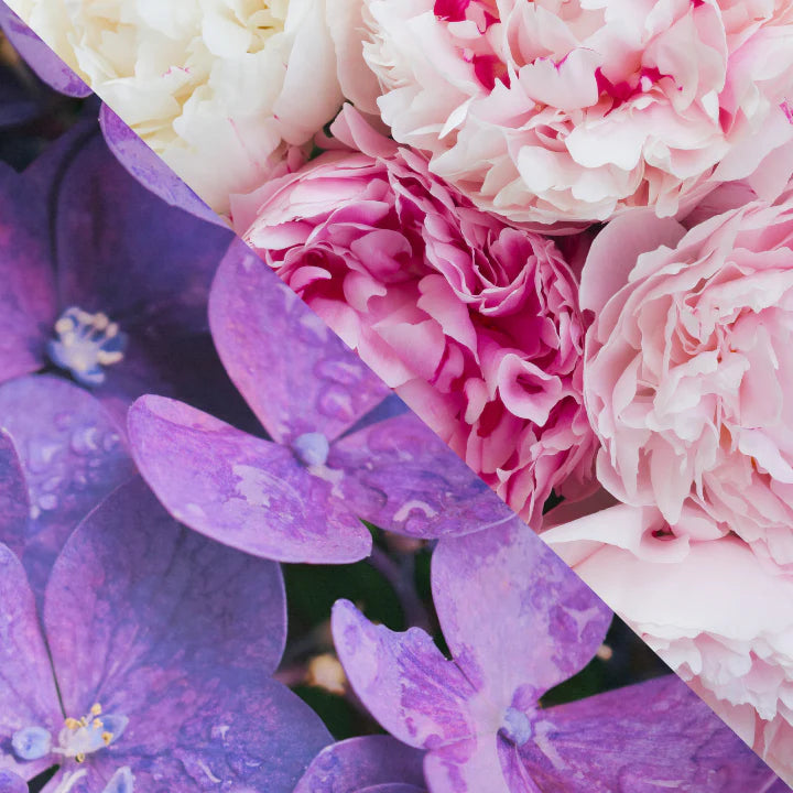 Wild Violet & Peony Candle Jar
