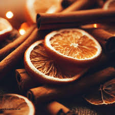 Orange & Cinnamon Wax Melts