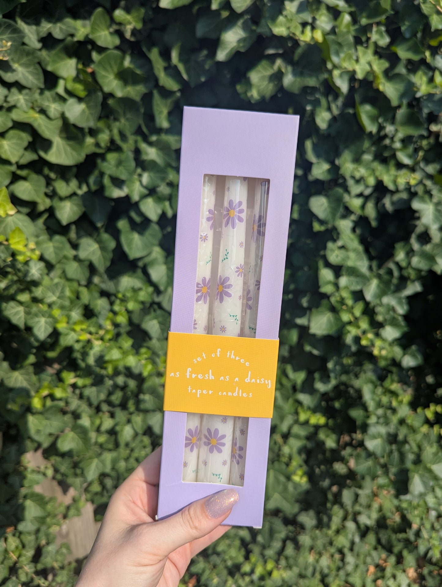 Fresh as a daisy taper candles