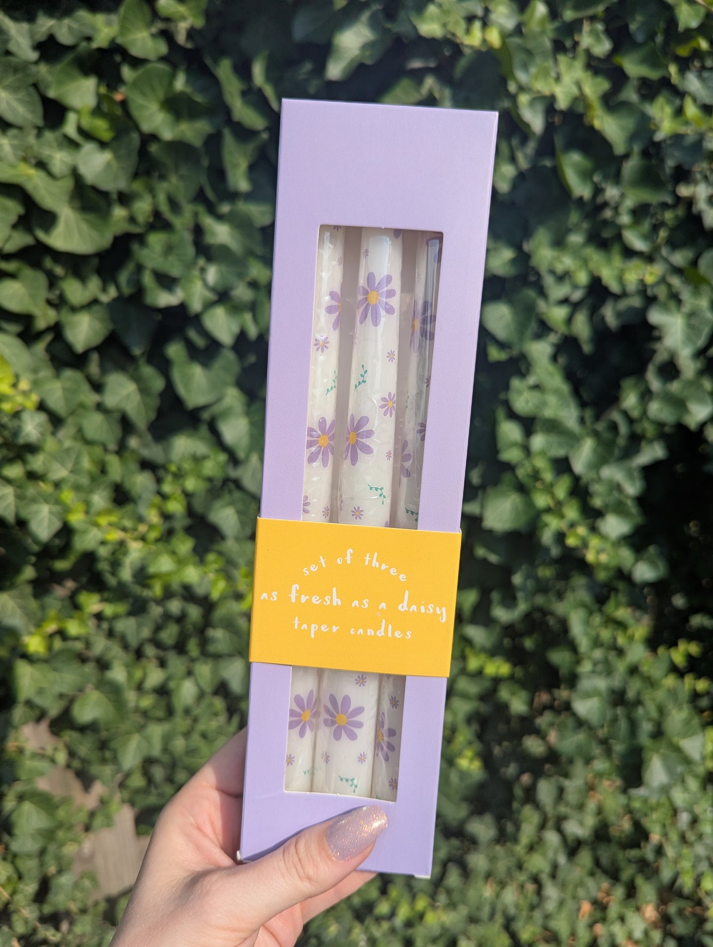 Fresh as a daisy taper candles