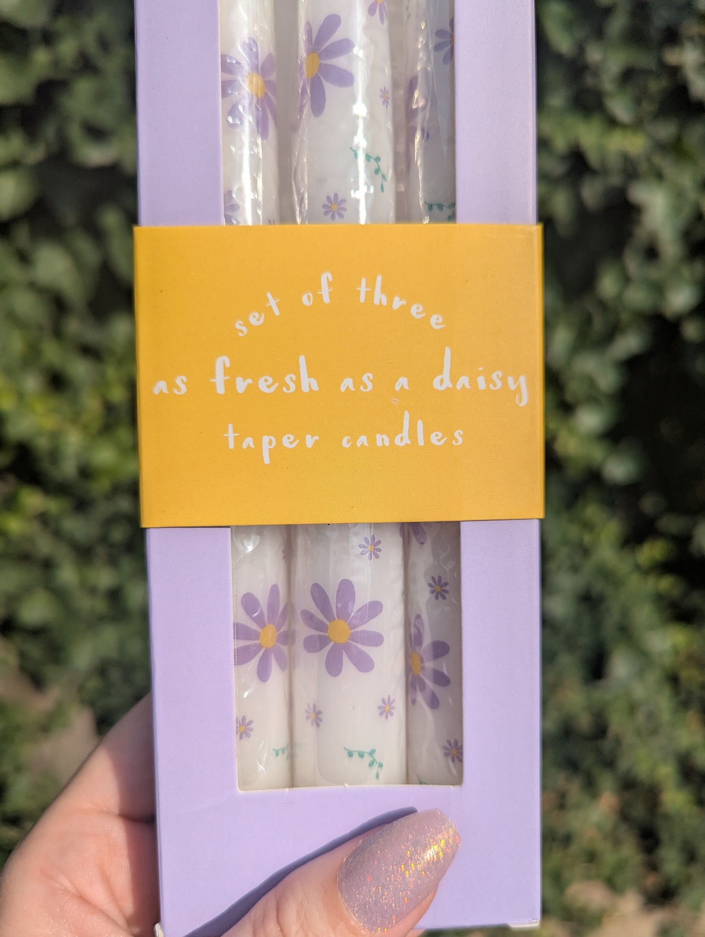 Fresh as a daisy taper candles