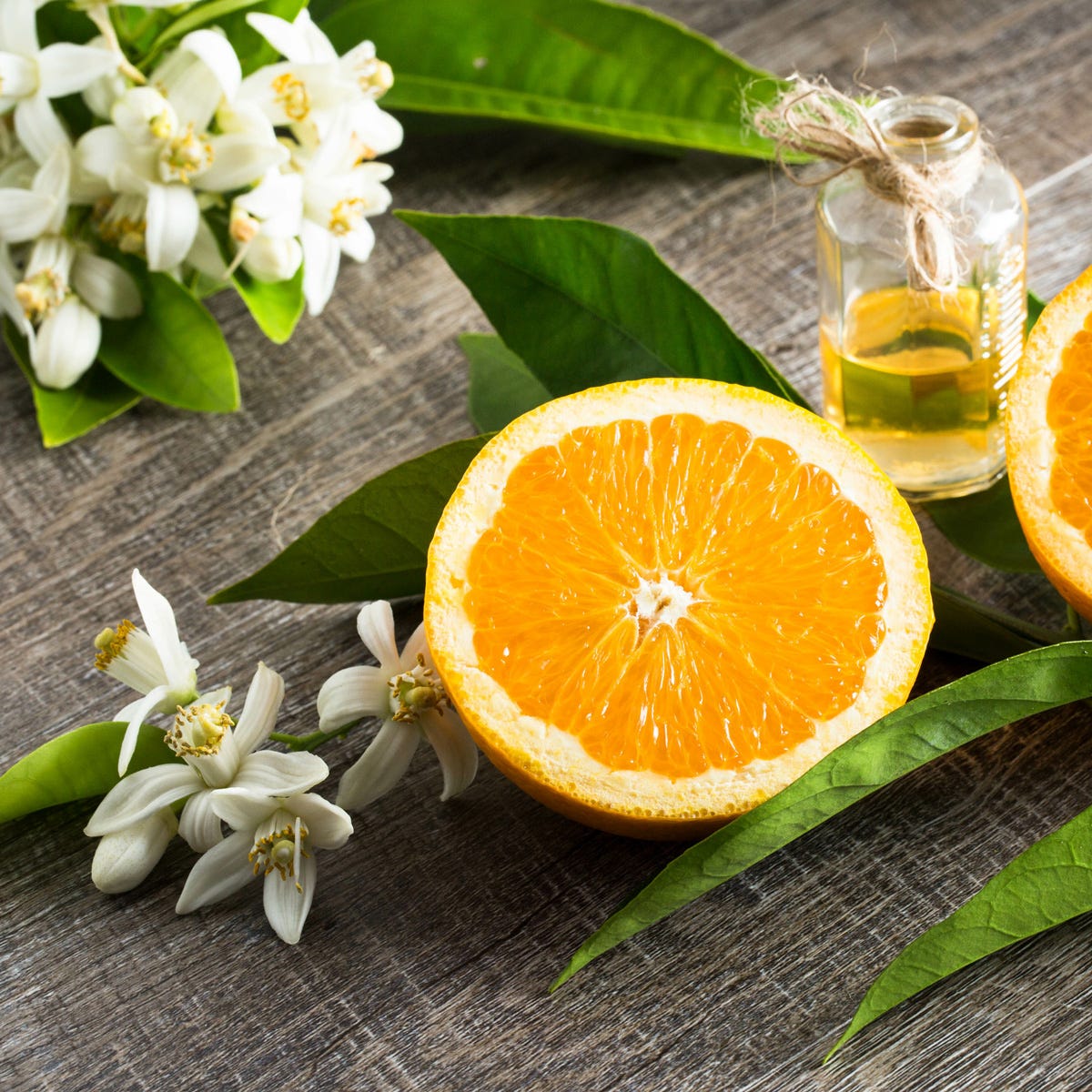 Basil & Neroli Candle Jar