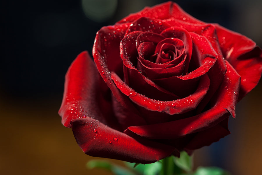 Rose Candle Jar