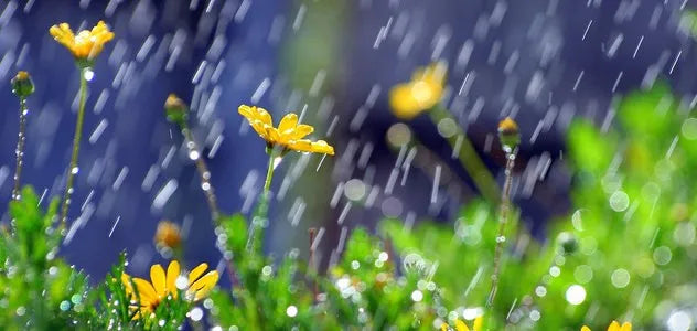 April Showers Diffuser Refill